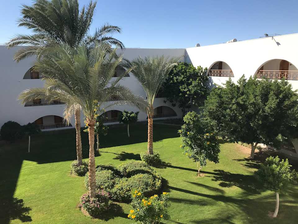 Ausblick Desert Rose