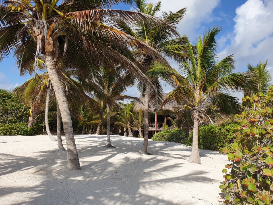Gartenanlage Akumal Bay Beach & Wellness Resort