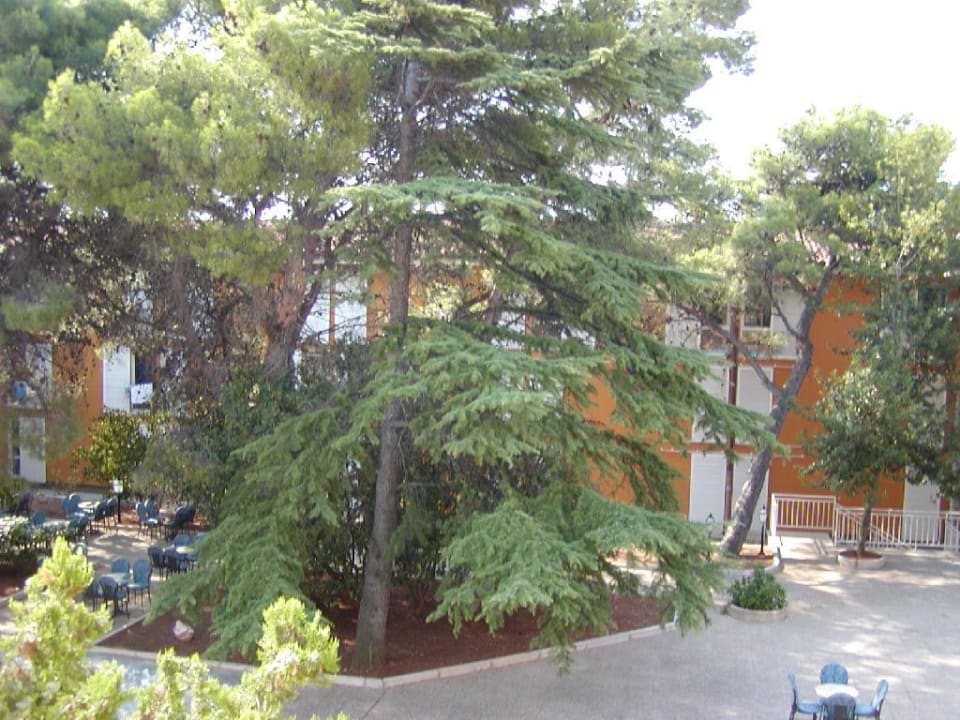 Hotel Valamar Sanfior Hotel & Casa
