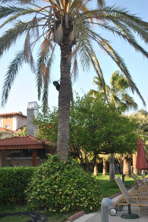 Прилегающая территория Akka Alinda Hotel