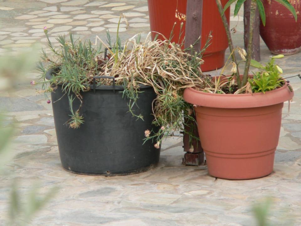 Blumen Hotel Limnionas Bay Village