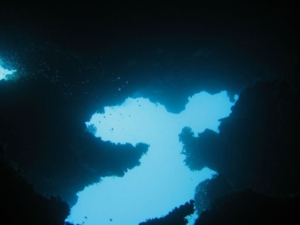 Unterwasserlandschaft Cinnamon Hakuraa Huraa Maldives - Adults-Only