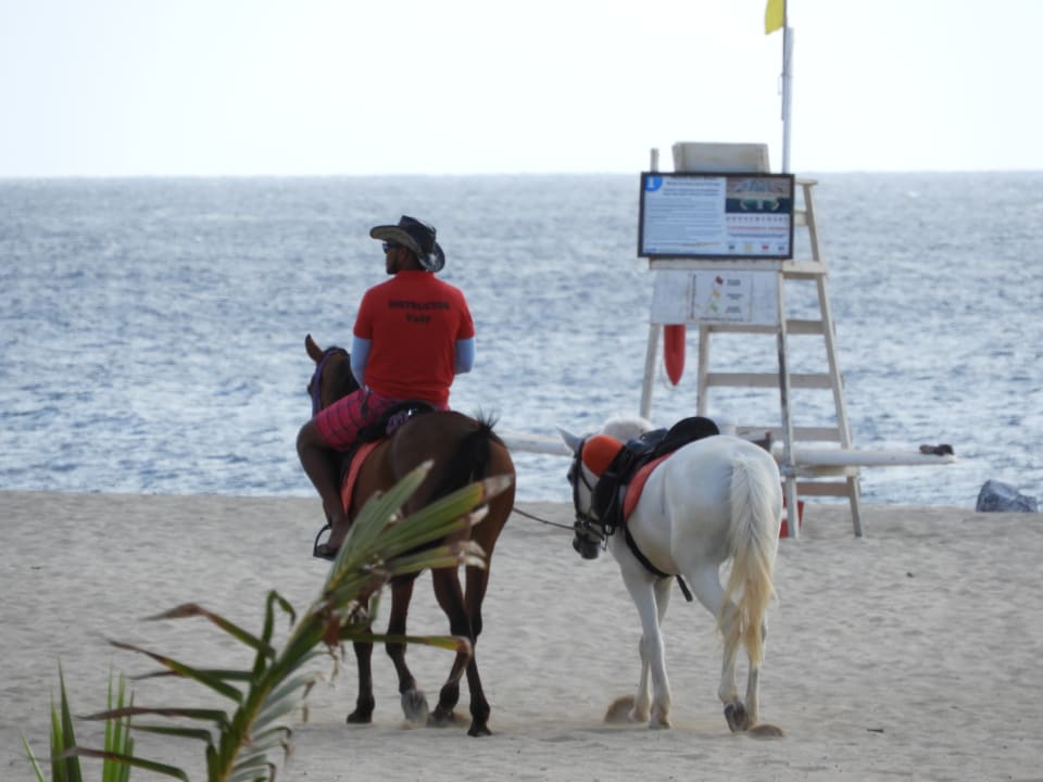 Strand Meliá Laguna Beach