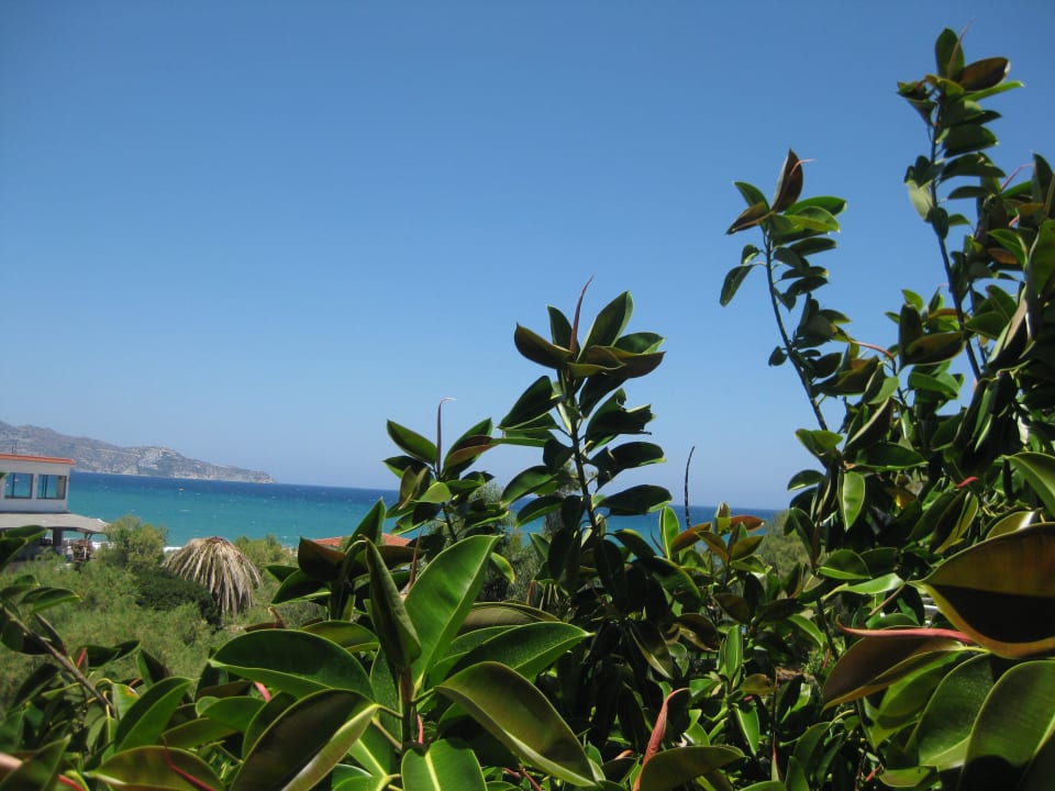 Ausblick 677 Apollonia Beach Resort & Spa