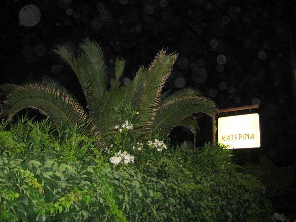 Roślinki Apartaments Catherine