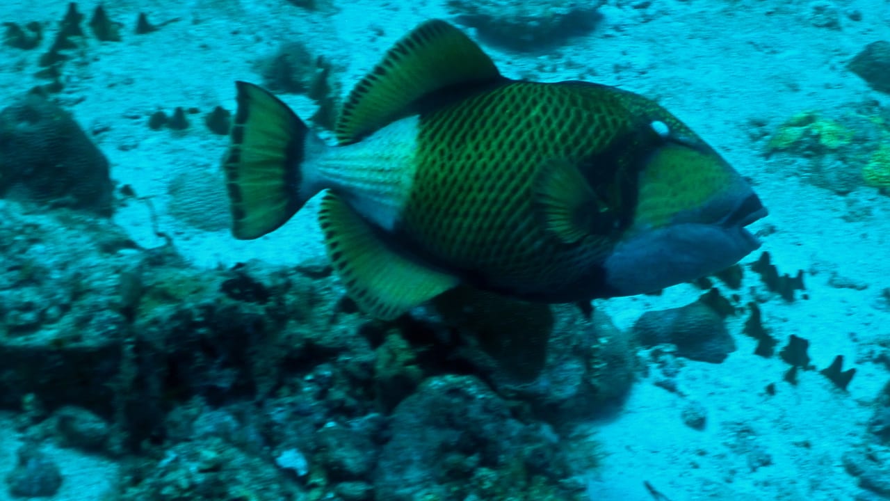 Sport & Freizeit ROBINSON MALDIVES