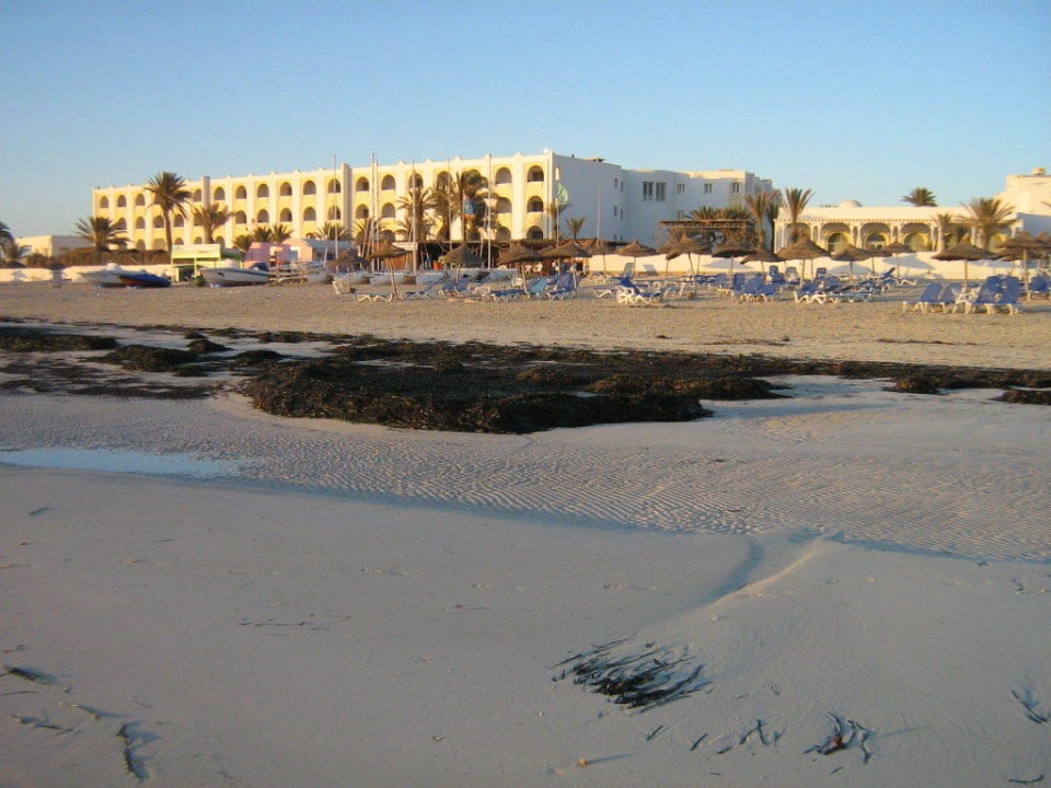 Algen nur Algen Calimera Yati Beach