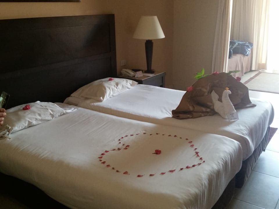 Zimmer Jaz Dar EL Madina