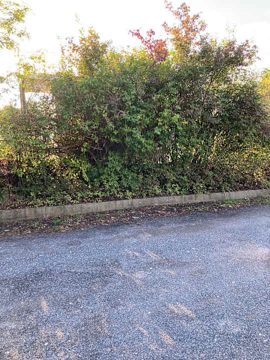 Außenansicht Best Western Plaza Hotel Zwickau