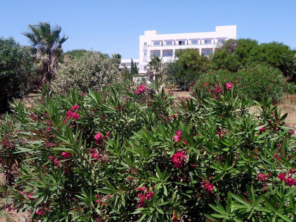 Hotelausblicke Fuerte Conil-Resort