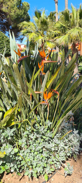 Außenansicht Megasaray Club Belek