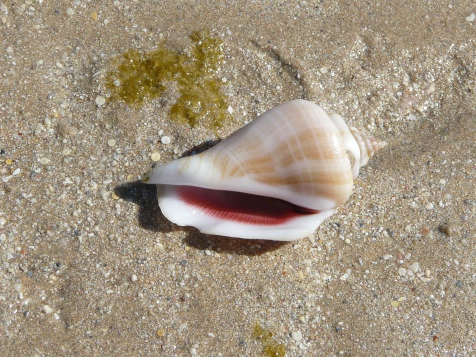 Toll Titanic Beach Spa & Aqua Park