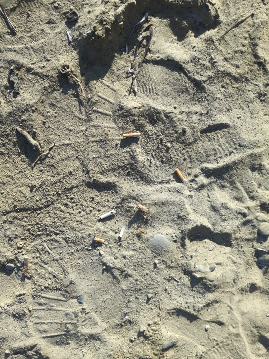 Strand TUI BLUE Oceanis Beach and Spa Resort