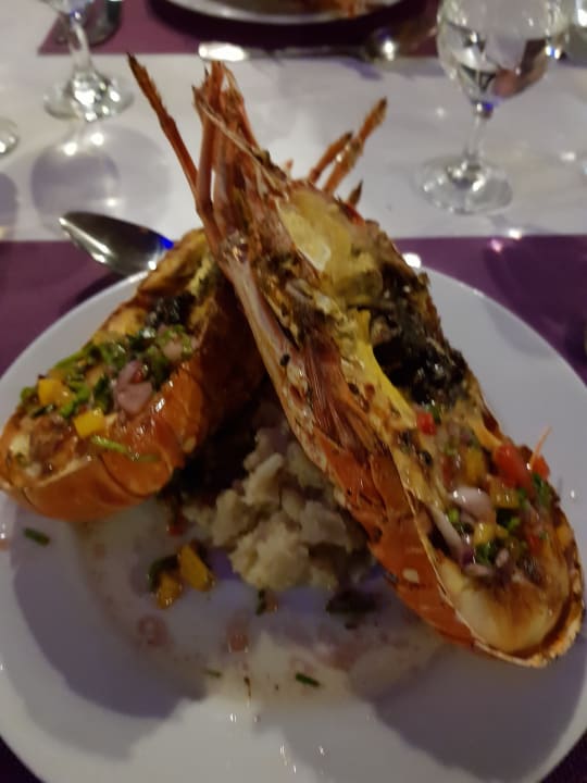 Gastro Melia Las Dunas