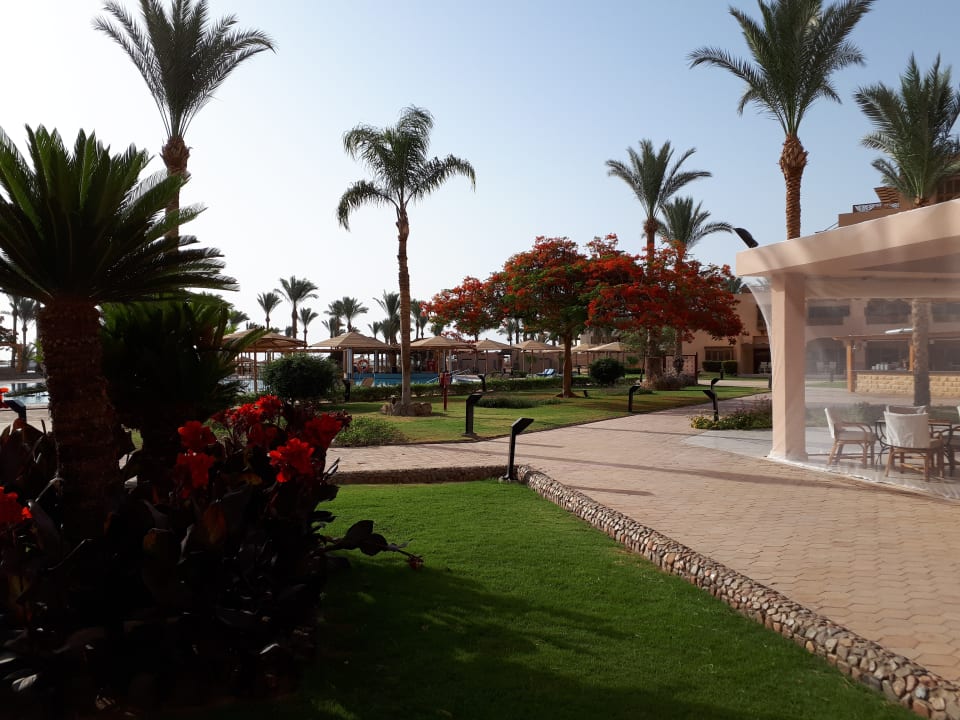 Gartenanlage Continental Hotel Hurghada