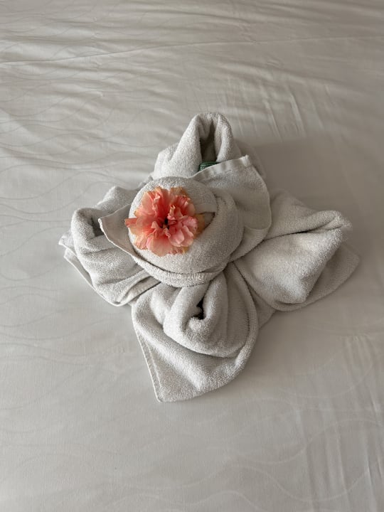 Zimmer Anemos Luxury Grand Resort