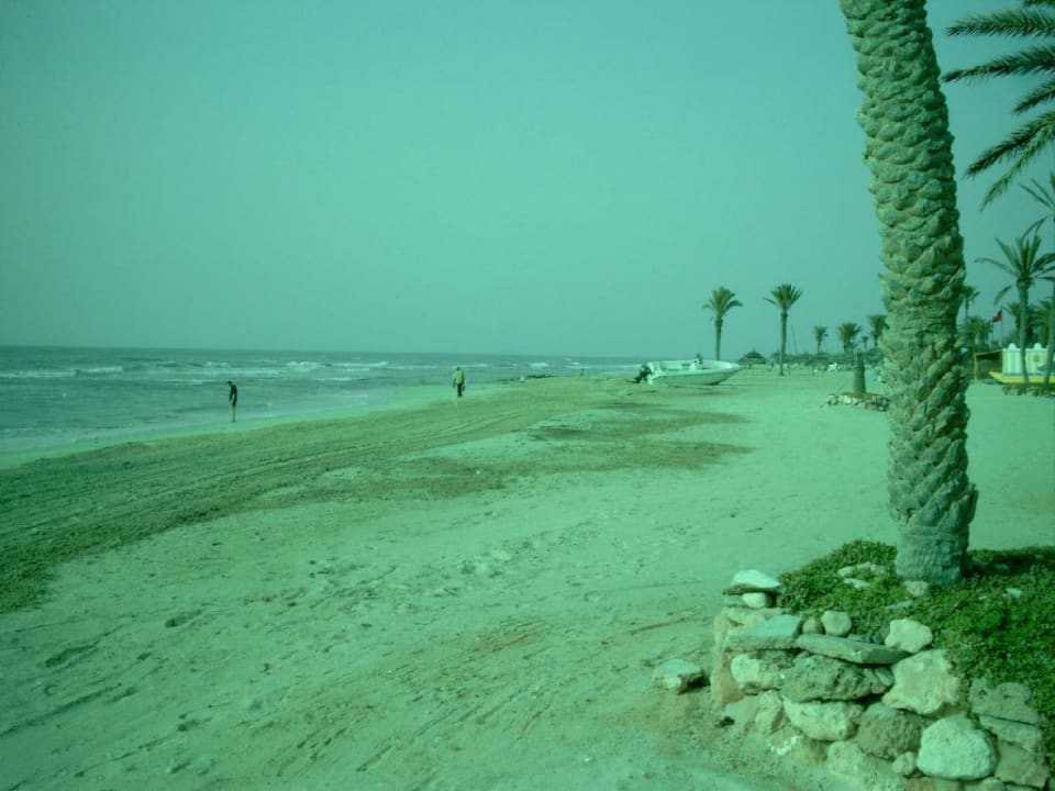 Strand am Hotel Djerba Castille 2 Djerba Castille
