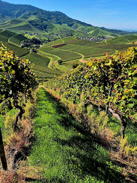 Sonstiges Hotel Ritter Durbach