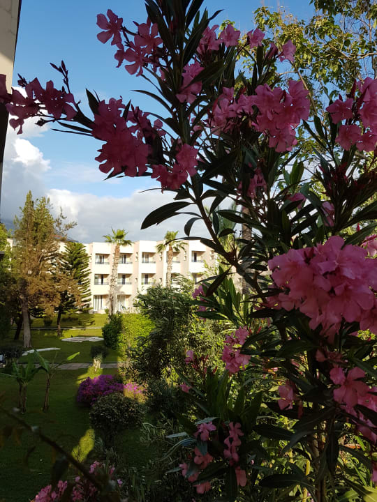 Außenansicht Labranda Alantur Resort