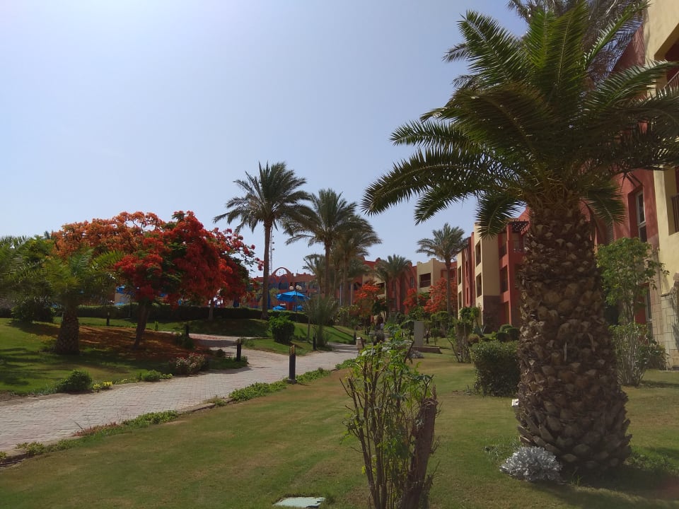 Garten SUNRISE Cardina Resort
