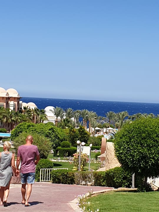 Ausblick Serenity Alpha Beach
