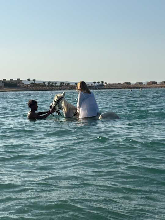 Strand Rewaya Majestic Resort