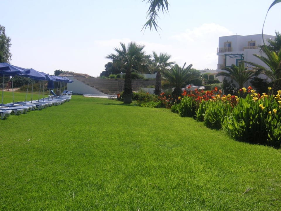 Liegewiese neben Pool Mastichari Bay Hotel