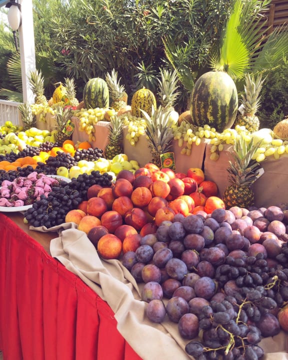 Gastro Well Palace Side