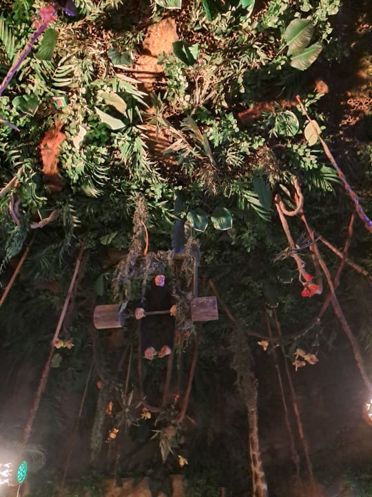 Gartenanlage Ferienwohnungen Ferienpark Weissenhäuser Strand