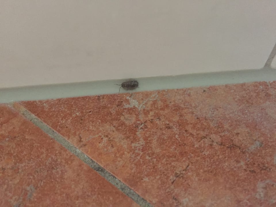 Zimmer BLOCK Hotel & Living