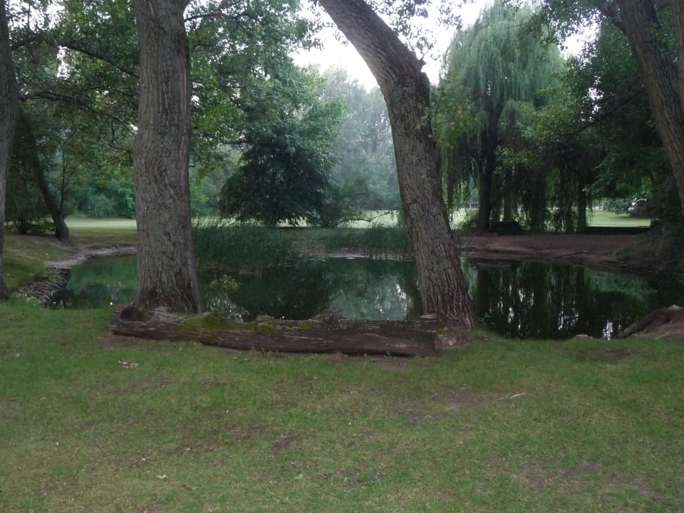 Park des Hotels Hotel & Reiterhof Gereby Herrenhaus