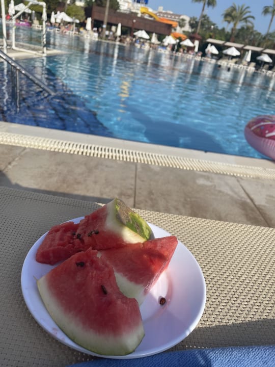 Pool Saphir Resort & Spa