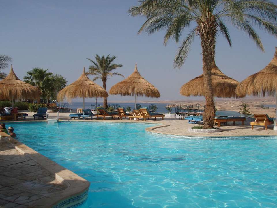 Oberer Pool Albatros Sharm Resort