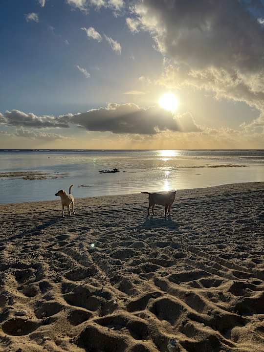 Strand Victoria for 2 Beachcomber Resort & Spa - Adults only