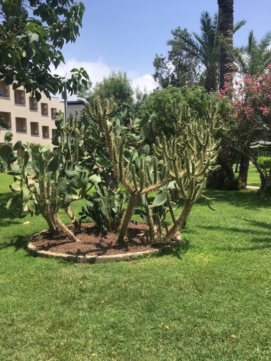 Gartenanlage Labranda Alantur Resort