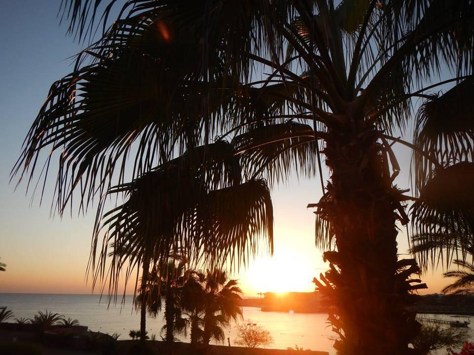 Blick aus dem Zimmer Steigenberger Coraya Beach - Adults only