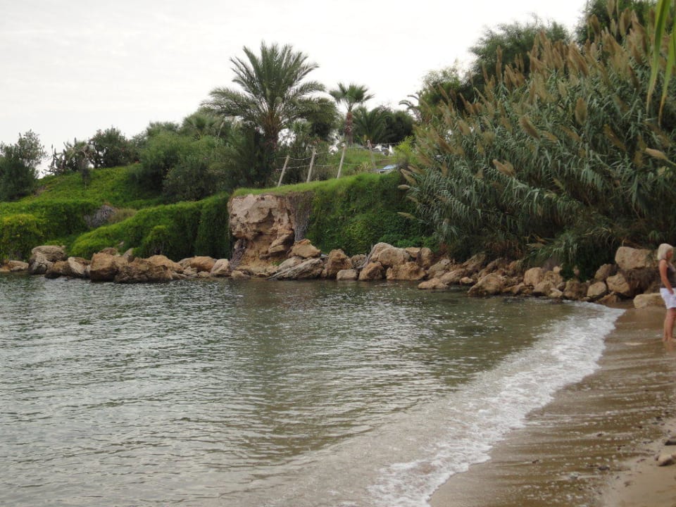 Kleine Badebucht Crystal Springs Beach Hotel