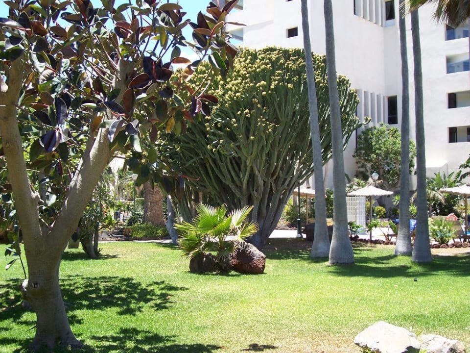 Gartenanlage Paradisus by Meliá Fuerteventura