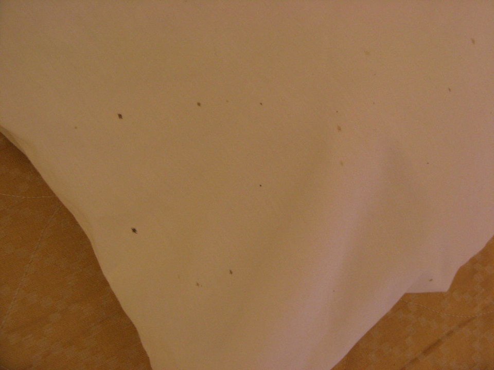 Pościel ze śladami krwi Pickalbatros Alf Leila Wa Leila Resort - Neverland Hurghada