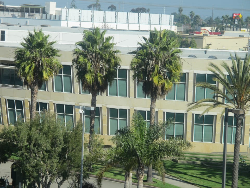 Blick aus dem Zimmer zum Drehort von CSI Miami Hotel SpringHill Suites-Hawthorne/LAX by Marriott