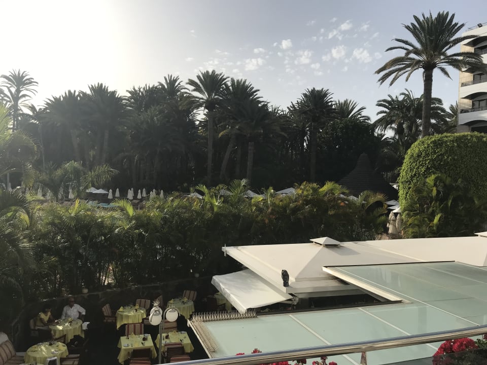 Gartenanlage Seaside Hotel Palm Beach