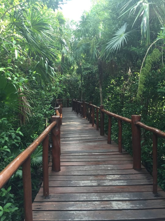 Steg Grand Palladium Kantenah Resort & Spa