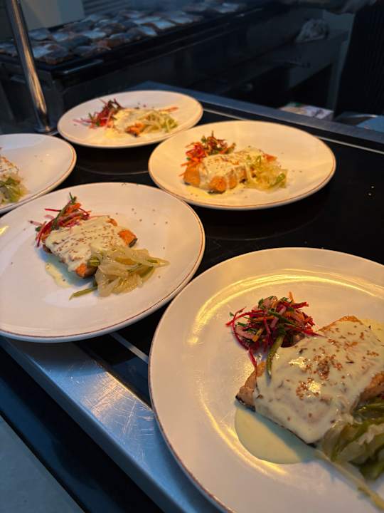 Gastro Papillon Ayscha