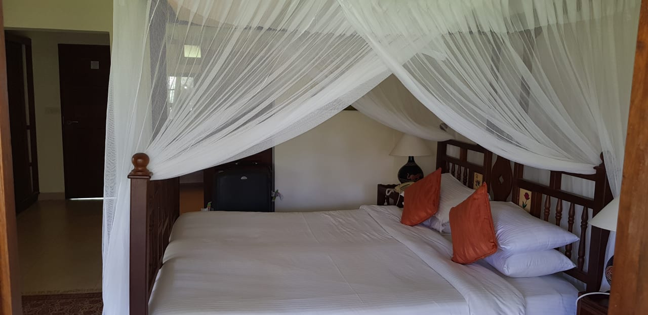 Zimmer Neptune Palm Beach Boutique Resort & Spa