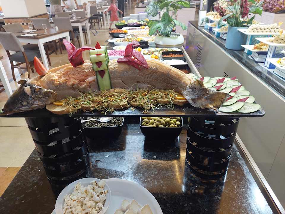 Gastro Medina Solaria & Thalasso