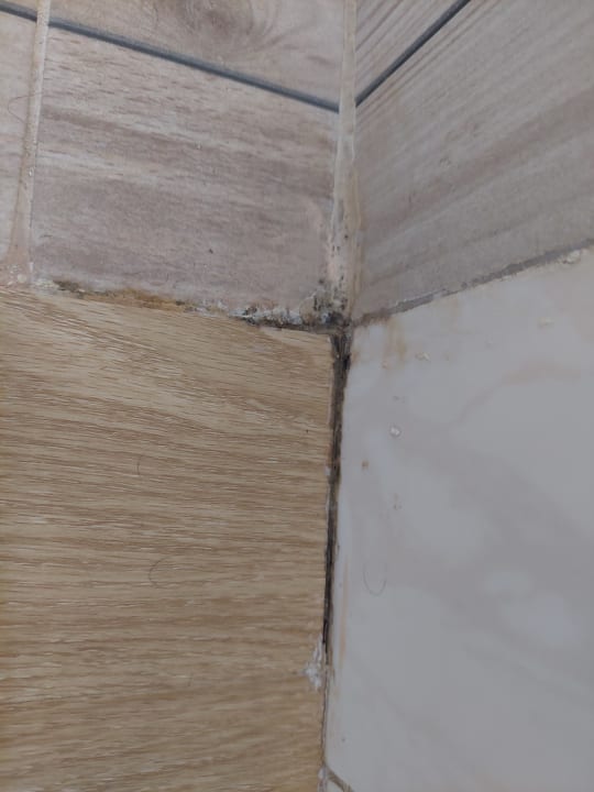 Zimmer Artemisa Gay Bungalows