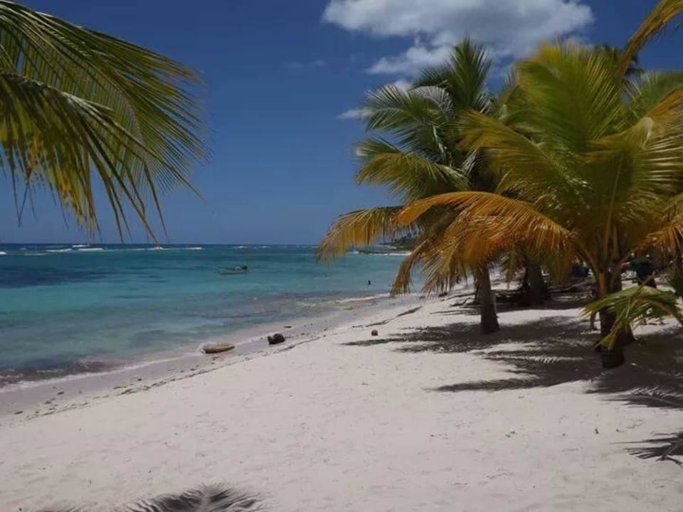 Spaziergang am Bavarostrand Grand Palladium Select Bávaro Resort & Spa