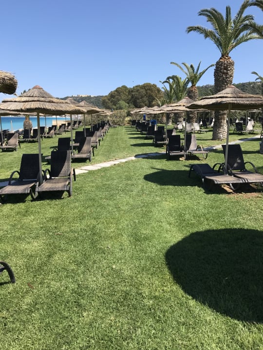 Gartenanlage The Ixian Grand & All Suites