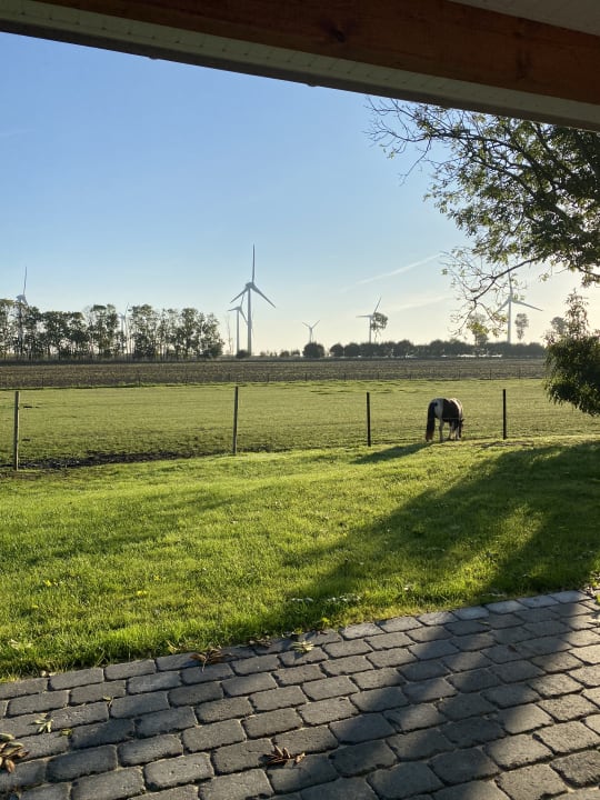 Ausblick Bauernhof Lafrenz