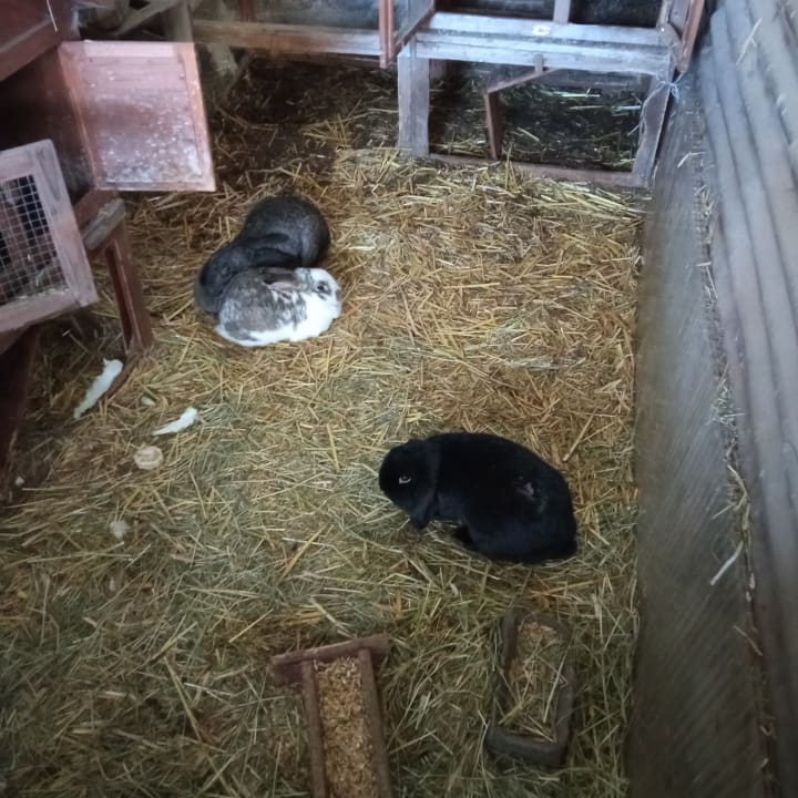 Sonstiges Hotel Reiterhof Altmühlsee